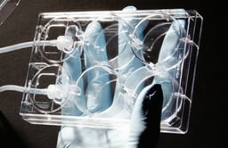 AVP011-2/AVP011-10 - Alvetex Perfusion Plate